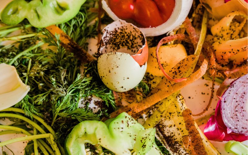 Vegetable peelings and food by-products